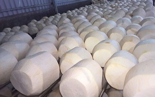 Loại quả xuất khẩu tỷ đô được Trung Quốc rất ưa chuộng, vì sao nhiều nhà máy ở Việt Nam phải đóng cửa?