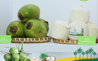 Dừa Việt - ‘Ngôi sao mới nổi’ trong CLB xuất khẩu nông sản tỷ đô: Đấu tay bo với dừa Thái ở xứ Trung, vượt ngàn chông gai chinh phục thị trường Mỹ