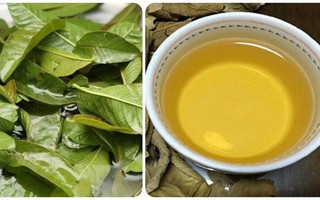 8 lợi ích của việc uống nước lá ổi thường xuyên