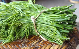 Loại rau đứng từ xa đã ngửi mùi thối nhưng ai cũng tranh nhau mua, giá 200.000 đồng/kg