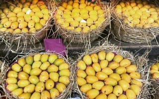 Loại quả được cựu Đại sứ Hoa Kỳ khen 'ngon nhất thế giới': Từ Á đến Âu cực mê, Việt Nam đã thu về hơn 300 triệu USD