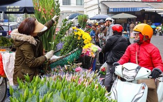 Thị trường mùng 1 cuối cùng của năm Giáp Thìn: Giá cau tăng gấp đôi