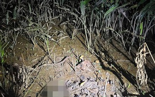 Vụ phát hiện bộ xương người dưới gầm đường dẫn cao tốc: Hiện trường có gì?