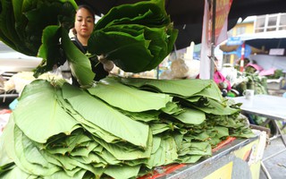 Chợ lá dong lâu đời nhất Hà Nội: Ngày bán hàng vạn lá, thu về hàng chục triệu