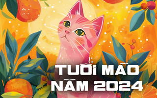 Luận giải chi tiết tử vi tuổi Mão năm 2024: Đón đầu cơ hội, nắm bắt nhân duyên