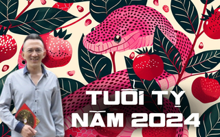 Bậc thầy phong thủy tiết lộ vận mệnh tuổi Tỵ năm 2024: "Họa vô đơn chí, phúc bất trùng lai"