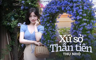 Người phụ nữ xinh đẹp đã biến loài hoa như bông tuyết xanh thành thác nước, kết quả thật ngoạn mục!