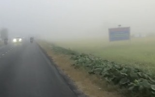 CLIP: Sương mù trắng xóa khiến Bạc Liêu như... Đà Lạt!