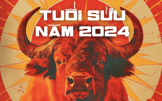 Luận giải chi tiết tử vi tuổi Sửu năm 2024: Nhẫn nại vượt khó, thắng lợi đến gần