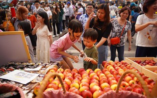 Lễ hội ẩm thực Pháp sắp quay trở lại, hứa hẹn trở thành điểm vui chơi cuối tuần không thể bỏ qua cho cả gia đình