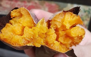 Ăn khoai lang nhiều có tốt không?
