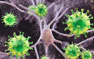 Có thể tiêu diệt được ổ HIV ẩn náu trong cơ thể con người?