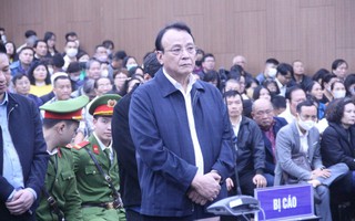 Chủ tịch Tân Hoàng Minh Đỗ Anh Dũng bị tuyên phạt 8 năm tù