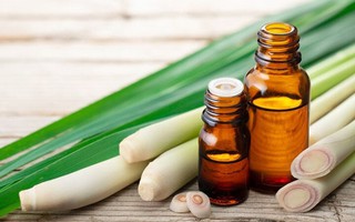 Cách đuổi muỗi hiệu quả bằng những nguyên liệu tự nhiên