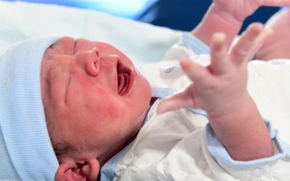 Hội mẹ bỉm kháo nhau "May mà không sinh năm Rồng vàng, đông người đẻ quá sau con mình cạnh tranh đến khổ"