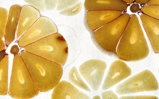 Loại gia vị ăn sống thì hôi, ăn chín lại thơm giúp chống ung thư, cải thiện sức khỏe tim mạch: Chợ Việt vừa nhiều vừa sẵn