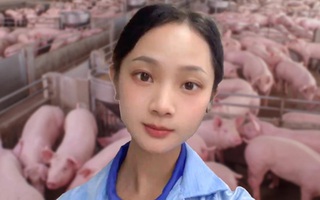 Cô gái trẻ Trung Quốc nổi tiếng sau khi bỏ việc văn phòng về nuôi lợn