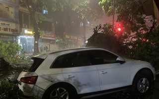 Cây cổ thụ bật gốc gãy đổ đè bẹp nhiều ô tô, xe máy trong mưa giông