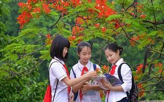 Lịch nghỉ hè sớm nhất của học sinh Hà Nội là bao giờ?