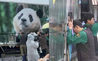 Chuyện ít biết về 2 "ông nội" của Fubao: Nhận tin buồn ngay trước ngày chia tay "cháu gái", tập nói chuyện tiếng Trung vì sợ "cháu" không quen