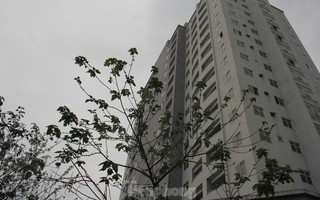 18.000 căn hộ tái định cư bị bỏ hoang tại Hà Nội và TP HCM
