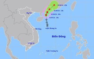 Áp thấp nhiệt đới mạnh lên thành bão số 1, gió giật cấp 10