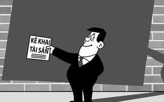 Nữ phó giám đốc ở Lâm Đồng "quên" khối tài sản lớn khi kê khai tài sản