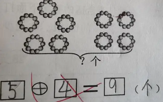 Bố bất ngờ khi bài toán 5 + 4 = 9 của con bị cô giáo chấm sai, lời giải thích càng gây tranh cãi