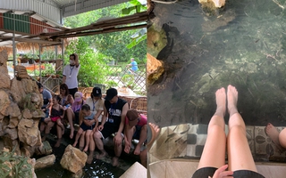 Dịch vụ cực hot khi đi du lịch: Trải nghiệm thú vị nhưng nhiều người sợ lây nhiễm bệnh?