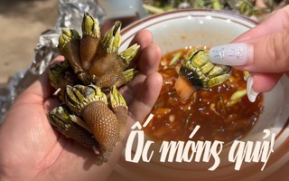 Món hải sản mang tên kinh dị nhưng lại ngon miễn chê, giá thành đắt đỏ có khi lên tới hàng triệu đồng mỗi kg