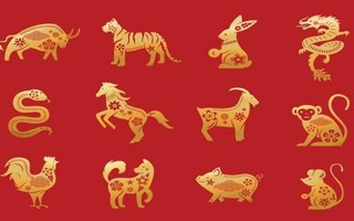 Tử vi 12 con giáp 31/7: Ngọ độc thân đào hoa, Tuất tài lộc tăng tiến không ngừng