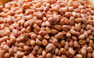Những bài thuốc chữa bệnh từ hạt lạc
