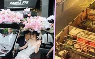 Các cặp đôi tuổi Hợi đổ về trang trại lợn để tổ chức đám cưới