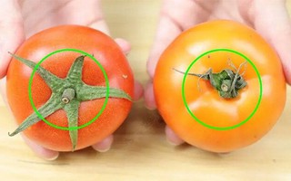 Cách nhận biết cà chua chín tự nhiên, không hóa chất