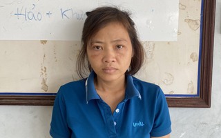 "Nữ quái" Nguyễn Thị Ánh Đào cầm đầu đường dây mua bán trẻ sơ sinh trải dài 32 tỉnh thành