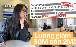 Bỏ việc văn phòng lương 30 triệu để theo đuổi đam mê, kết cục phải vật lộn sinh tồn với 2 triệu đồng mỗi tháng