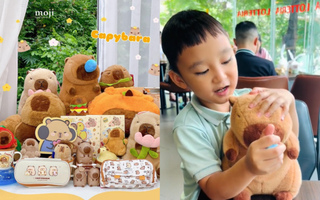 Chuột Capybara có gì mà khiến tụi nhỏ mê mẩn: Từ gấu bông, kẹp tóc, bình sữa, sticker được các em bé săn lùng