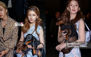 Bức ảnh gây sốc của Triệu Lộ Tư và Thái Từ Khôn ở Milan Fashion Week