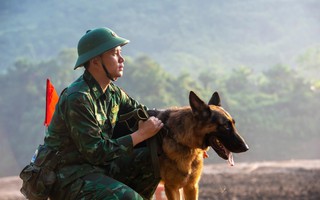 Cảm động những chú quân khuyển Biên phòng làm nhiệm vụ tại Làng Nủ