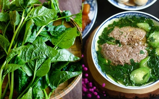 Chớ dại ăn rau mồng tơi nếu chưa biết những điều “đại kỵ” này
