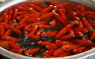 Giá cá chép đỏ tăng 'chóng mặt' trong ngày cúng ông Công, ông Táo