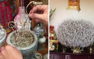 Tỉa chân hương cuối năm vào ngày nào?