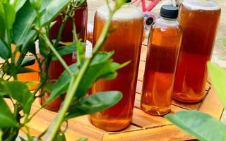 Cách phân biệt mật ong thật – giả