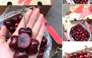 Cherry Chile ngập chợ mạng Việt dịp đầu năm, giá hơn 100.000 đồng/kg có đáng tin cậy?