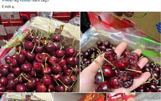 Cherry Chile giá sập sàn chỉ hơn 100.000 đồng/kg, dân tình đổ xô "mua như trẩy hội"