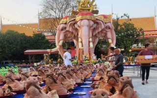 Bất ngờ trúng số, nam thanh niên đem trăm chiếc thủ lợn đi lễ tạ
