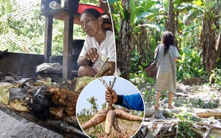 Bộ tộc có trái tim "khỏe mạnh nhất thế giới" ăn gì? Toàn món Việt Nam có sẵn
