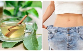 Uống nước lá ổi có giúp giảm cân?