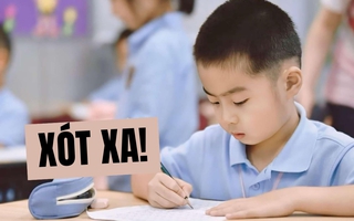 Đọc kết quả kiểm tra đột xuất việc dạy thêm tại TP.HCM mà tim tôi thắt lại: Chúng ta đang làm gì con cái thế này?
