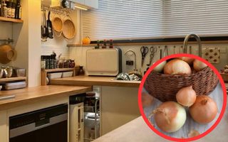 Đặt 1 củ hành tây ở góc phòng, điều lạ tôi chưa từng thấy suốt 30 năm